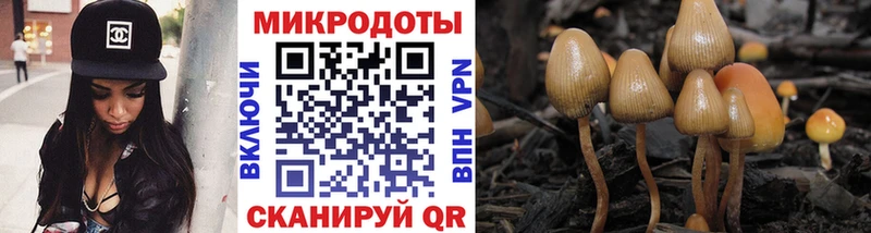 Псилоцибиновые грибы Magic Shrooms  где можно купить   Спасск 